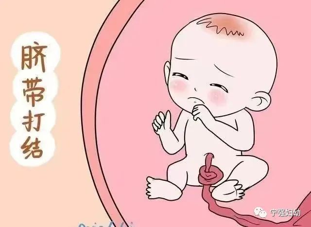 微信图片_20240812112048.jpg