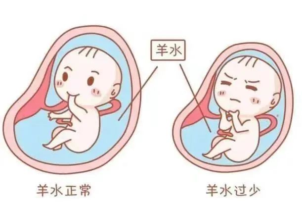 微信图片_20240812110241.jpg