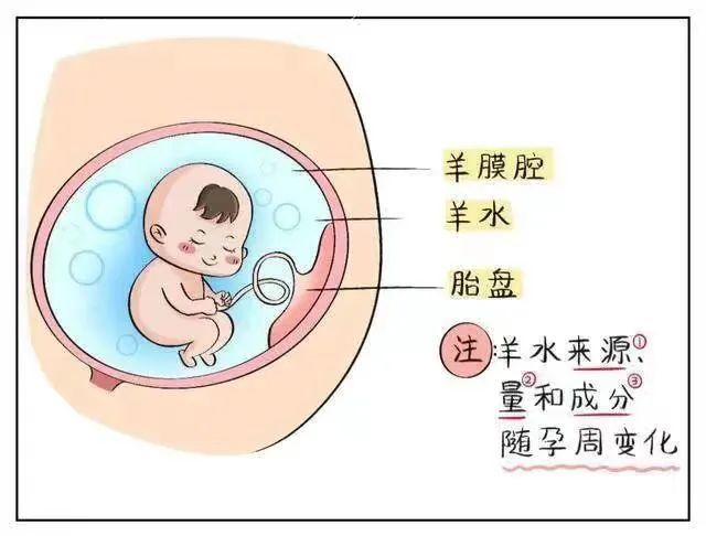微信图片_20240812110248.jpg