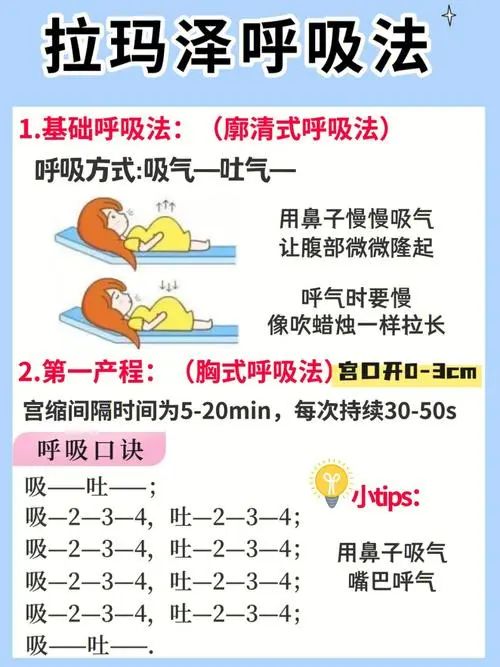 微信图片_20240812110857.jpg