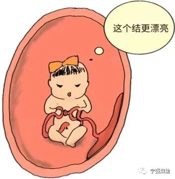 微信图片_20240812112045.jpg