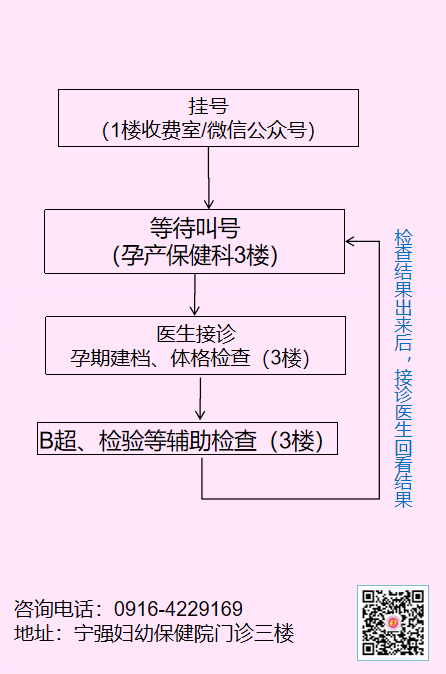 孕期检查 (2).png